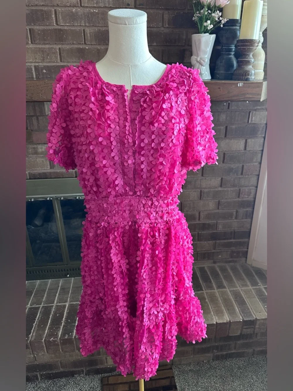 NWT Anthropologie Pink Somerset Floral Appliqué Mini Dress  XLP Stunning! - Picture 4 of 8